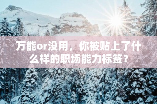 万能or没用，你被贴上了什么样的职场能力标签？