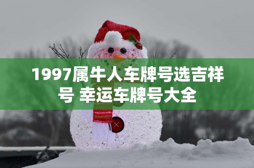 1997属牛人车牌号选吉祥号 幸运车牌号大全