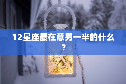 12星座最在意另一半的什么？
