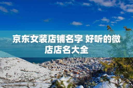 京东女装店铺名字 好听的微店店名大全