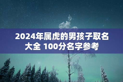 2025年属虎的男孩子取名大全 100分名字参考