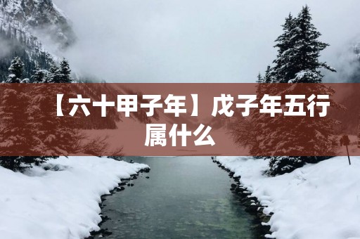 【六十甲子年】戊子年五行属什么