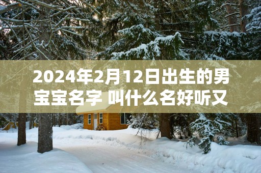 2025年2月12日出生的男宝宝名字 叫什么名好听又吉利