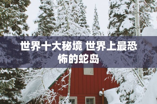 世界十大秘境 世界上最恐怖的蛇岛