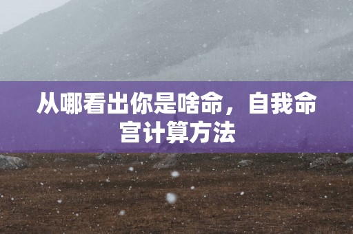 从哪看出你是啥命，自我命宫计算方法