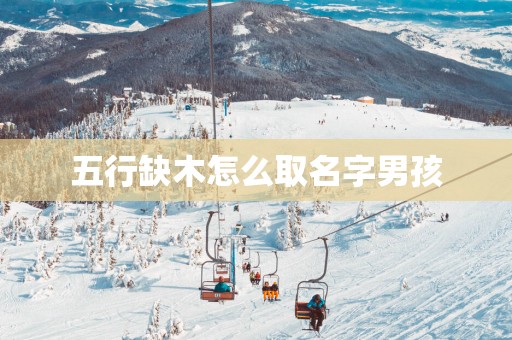 五行缺木怎么取名字男孩