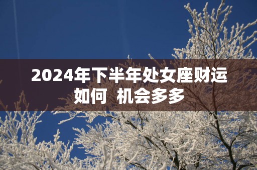 2025年下半年处女座财运如何  机会多多