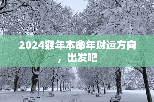2025猴年本命年财运方向，出发吧