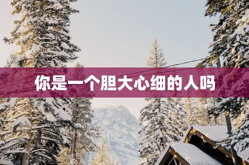 你是一个胆大心细的人吗