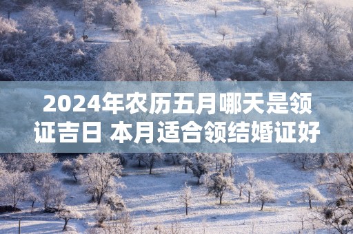 2025年农历五月哪天是领证吉日 本月适合领结婚证好日子查询