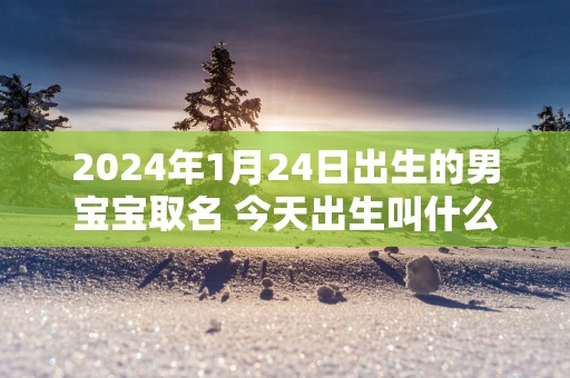 2025年1月24日出生的男宝宝取名 今天出生叫什么名字好
