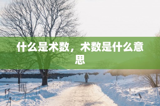 什么是术数，术数是什么意思
