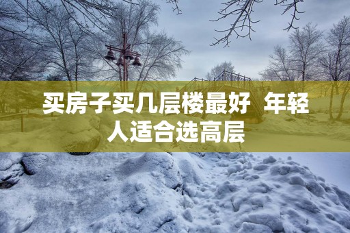 买房子买几层楼最好  年轻人适合选高层