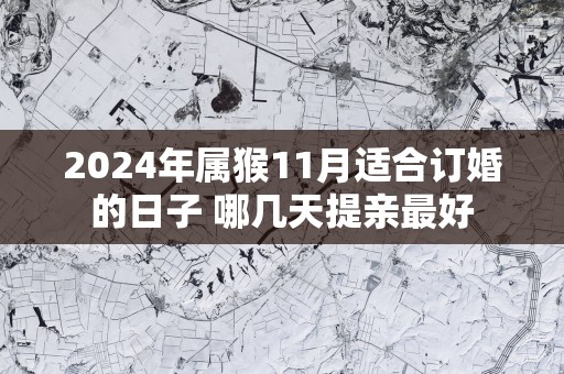 2025年属猴11月适合订婚的日子 哪几天提亲最好