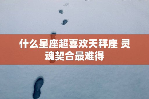 什么星座超喜欢天秤座 灵魂契合最难得