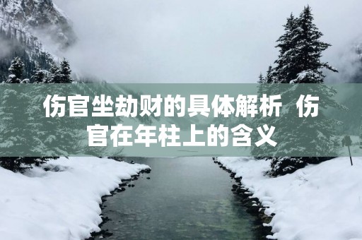 伤官坐劫财的具体解析  伤官在年柱上的含义