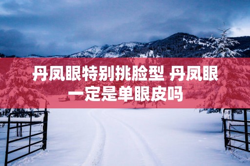 丹凤眼特别挑脸型 丹凤眼一定是单眼皮吗