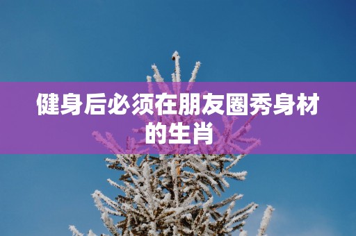 健身后必须在朋友圈秀身材的生肖