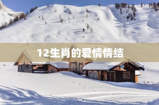 12生肖的爱情情结