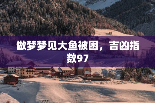 做梦梦见大鱼被困，吉凶指数97