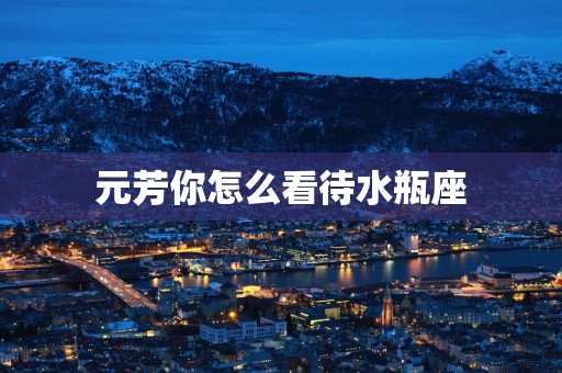 元芳你怎么看待水瓶座
