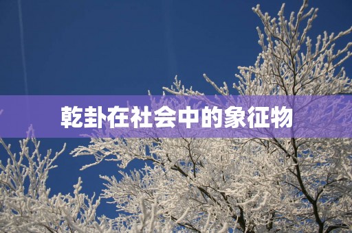 乾卦在社会中的象征物