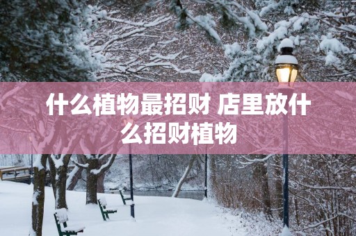 什么植物最招财 店里放什么招财植物
