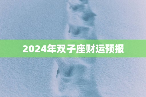 2025年双子座财运预报