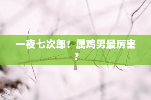 一夜七次郎！属鸡男最厉害？