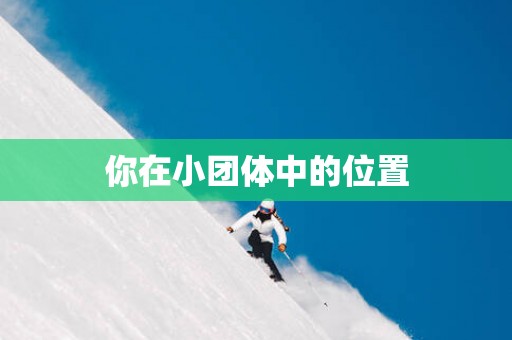你在小团体中的位置