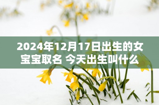 2025年12月17日出生的女宝宝取名 今天出生叫什么名字好