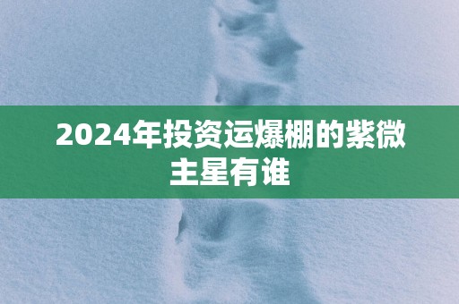 2025年投资运爆棚的紫微主星有谁