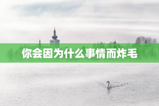 你会因为什么事情而炸毛