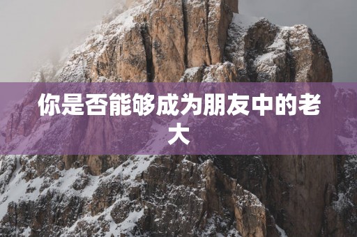 你是否能够成为朋友中的老大