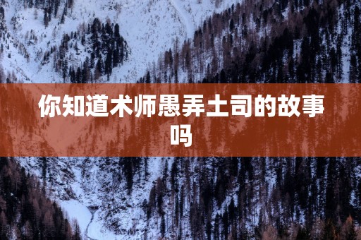你知道术师愚弄土司的故事吗