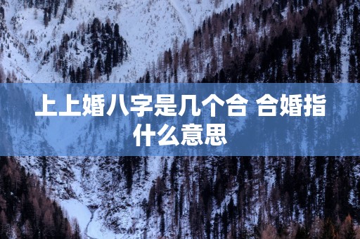 上上婚八字是几个合 合婚指什么意思