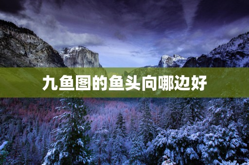 九鱼图的鱼头向哪边好