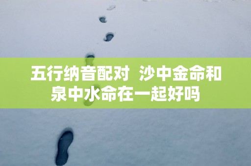 五行纳音配对  沙中金命和泉中水命在一起好吗