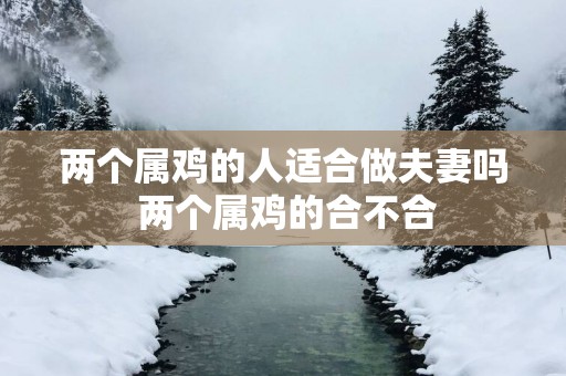 两个属鸡的人适合做夫妻吗 两个属鸡的合不合
