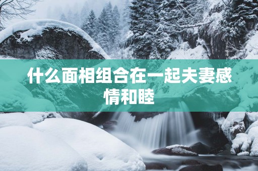 什么面相组合在一起夫妻感情和睦