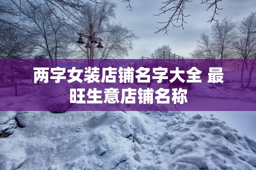 两字女装店铺名字大全 最旺生意店铺名称