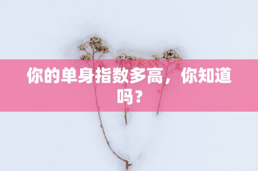 你的单身指数多高，你知道吗？