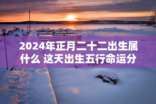 2025年正月二十二出生属什么 这天出生五行命运分析