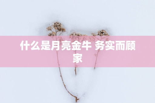 什么是月亮金牛 务实而顾家