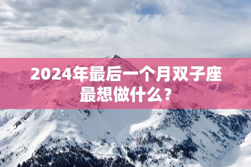 2025年最后一个月双子座最想做什么？