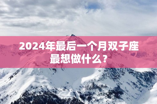 2024年最后一个月双子座最想做什么？