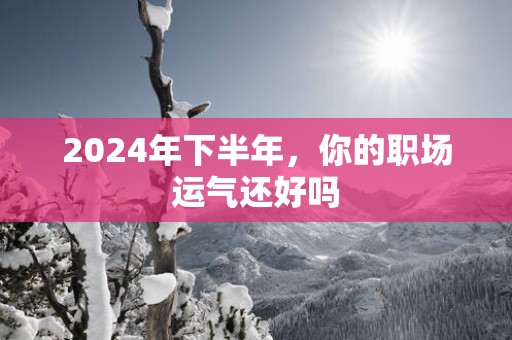 2024年下半年，你的职场运气还好吗