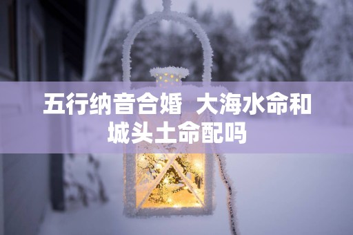 五行纳音合婚  大海水命和城头土命配吗