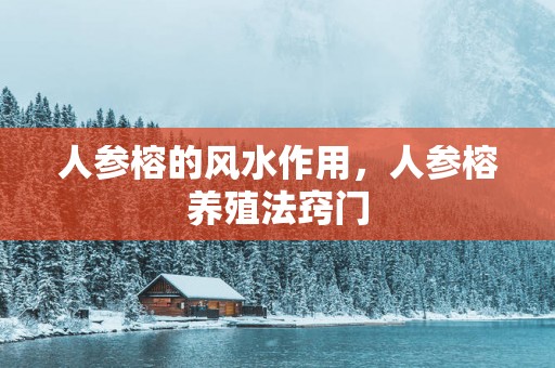 人参榕的风水作用，人参榕养殖法窍门