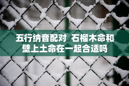 五行纳音配对  石榴木命和壁上土命在一起合适吗